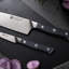 ZWILLING Spectrum 2-Pc Knife Starter Set