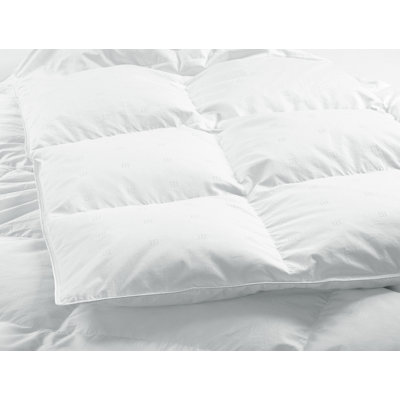 Édredon en duvet d'oie Islande 725