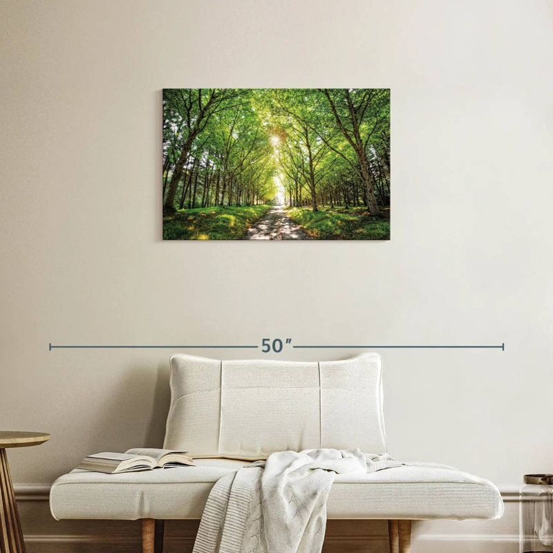 Soleil et ombres Harnek, H 20 po x l 30 po