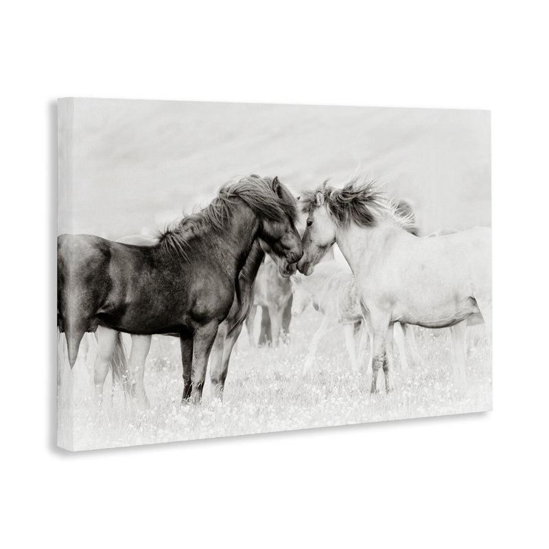 Art mural sur toile Heartfelt Horses in Neutrals, design par PHBurchett, H 16 po x l 24 po