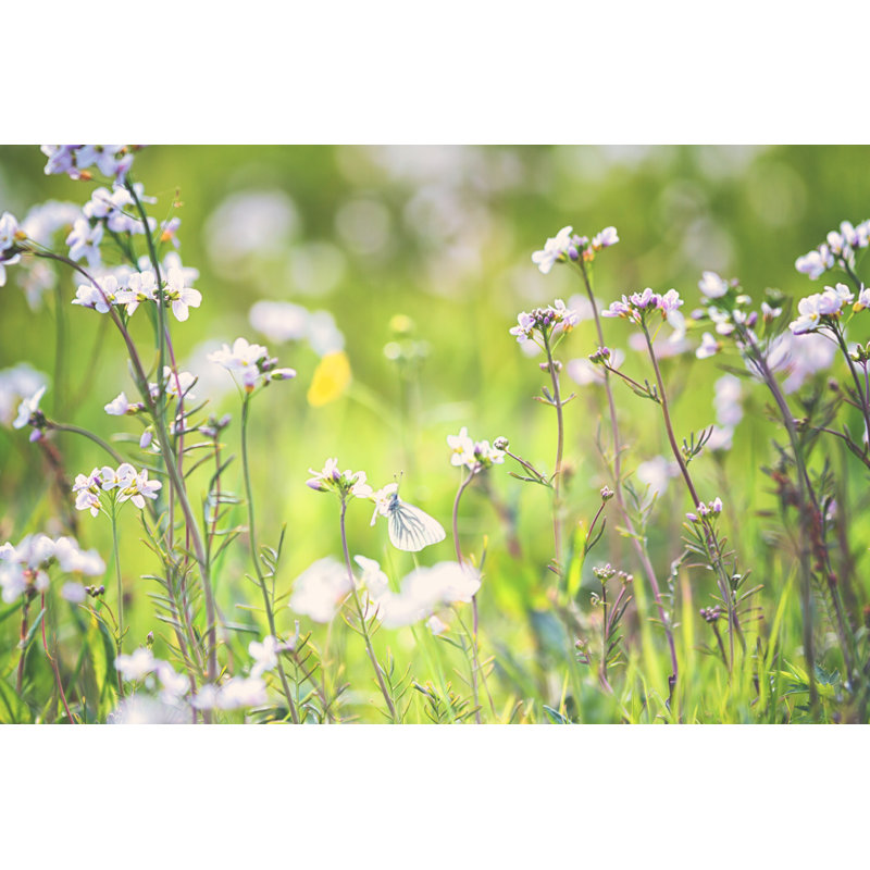Spring Meadow by Rike_, 8" H x 12" W