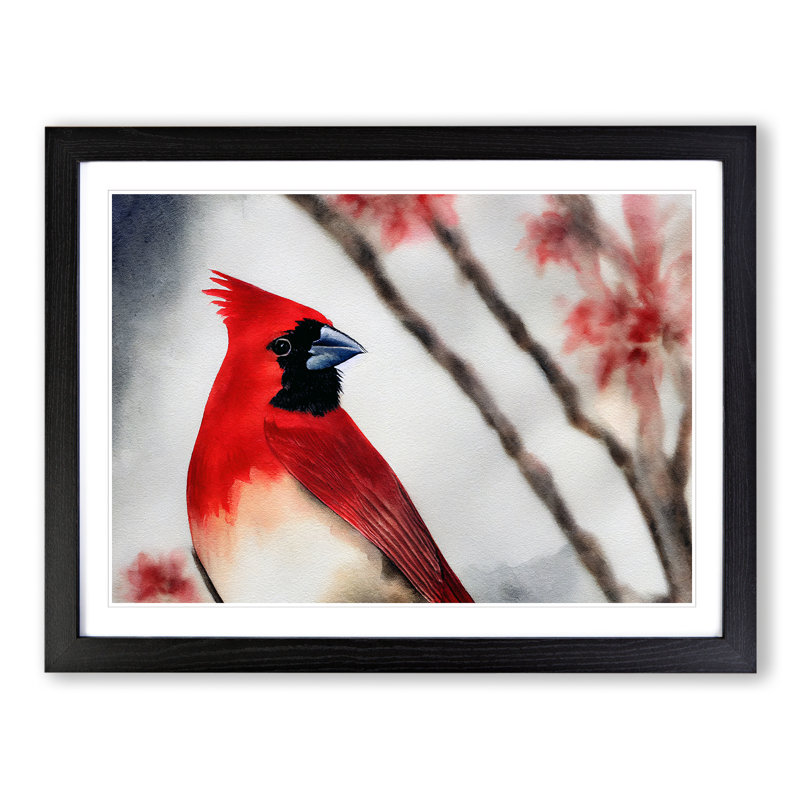 Watercolour Cardinal Bird Vol.3 - Single Picture Frame Painting, 34cm H x 46cm W x 2cm D, Black Framed