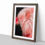 Pink Flamingo - Picture Frame Painting Print-55583965-55583968