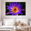 Harnek Hawaiian Water Lily-107668843