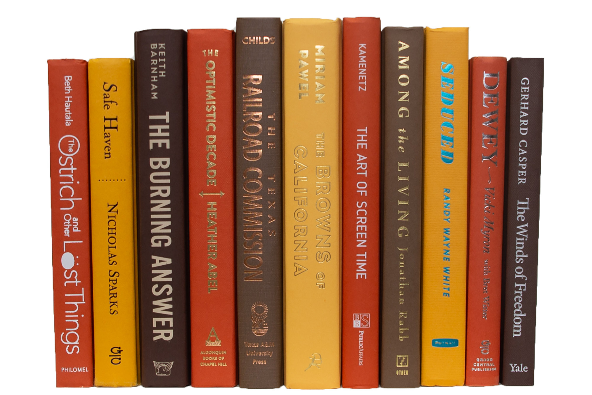 Joss & Main Modern Harvest Serefina & Reviews | Wayfair