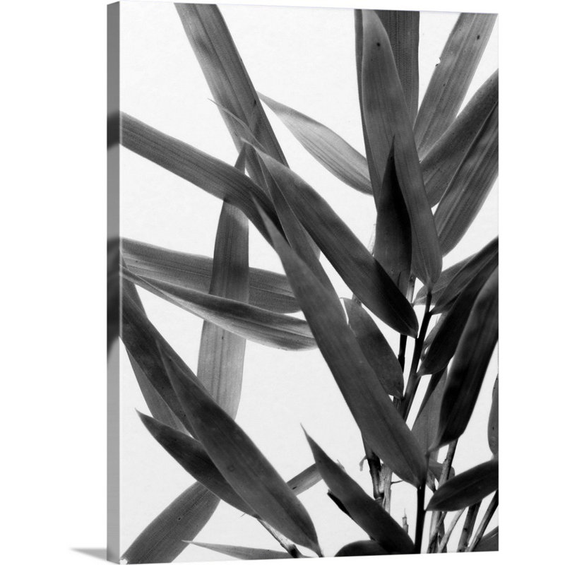 Art mural sur toile B&W Bamboo IV, H 16 po x l 12 po x P 1,25 po, Toile tendue
