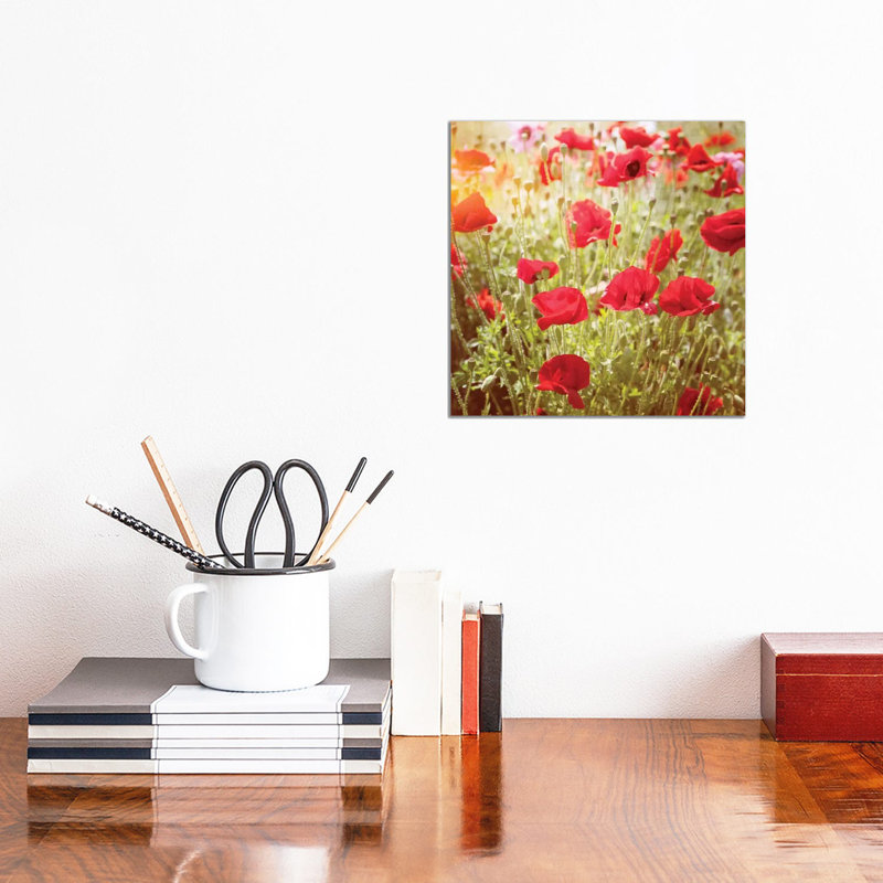 Poppy Field - Wrapped Canvas Print, 30.48 cm H x 30.48 cm W