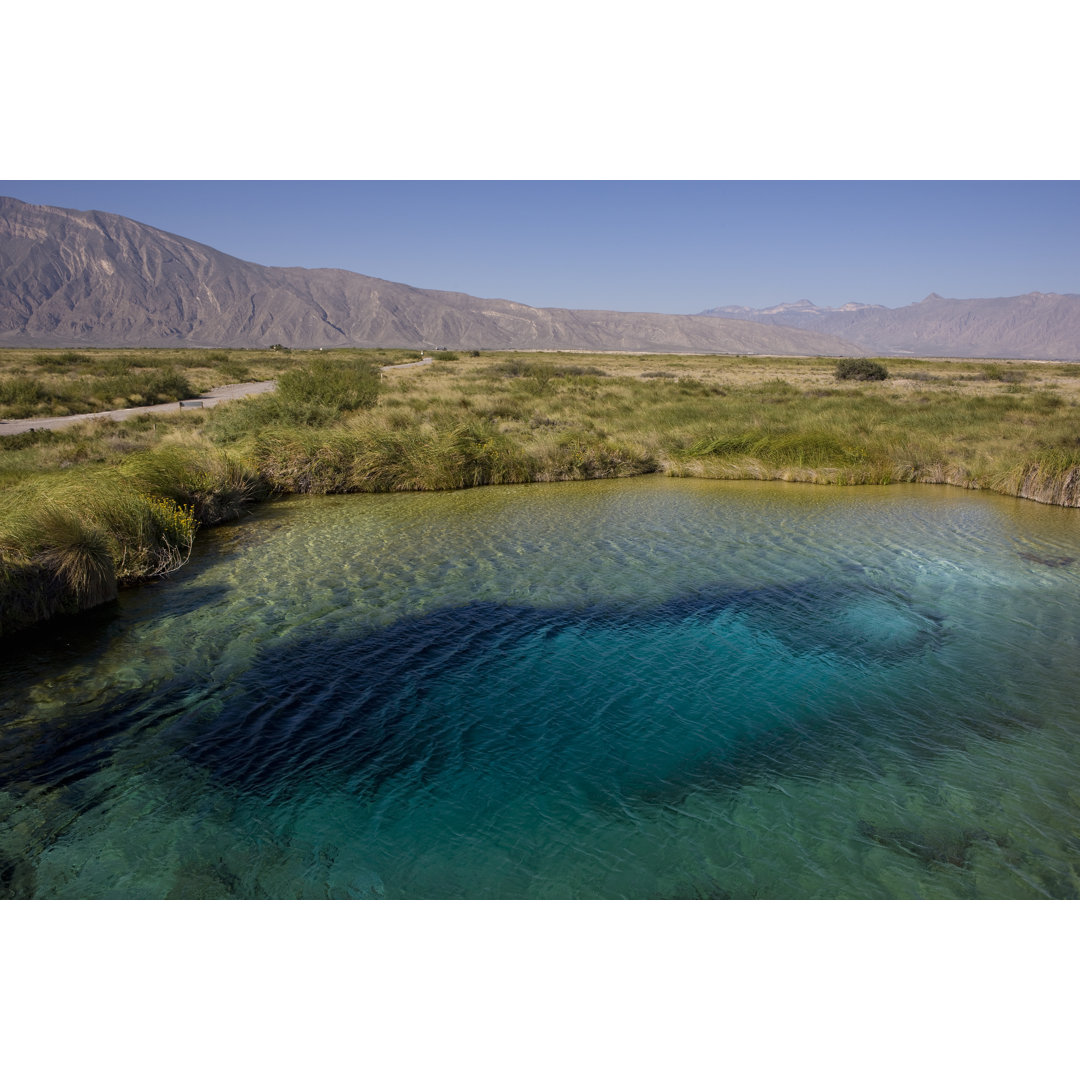 Marsh En Cuatro Cienegas Coahuila von MiguelMalo - Ohne Rahmen auf Leinwand drucken