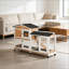 Cage pour animaux, clapier mobile en bois-123829757