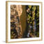 Karolis Janulis - Single Picture Frame Print-315949147
