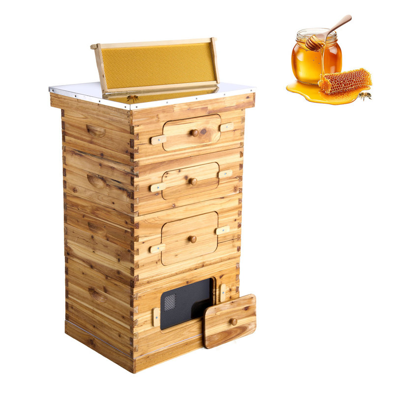 Ensemble de ruche à abeilles de qualité supérieure en cèdre Langstroth - ensemble de démarrage 40 cadres avec cadres enduits de cire d'abeille et fenêtres d'observation