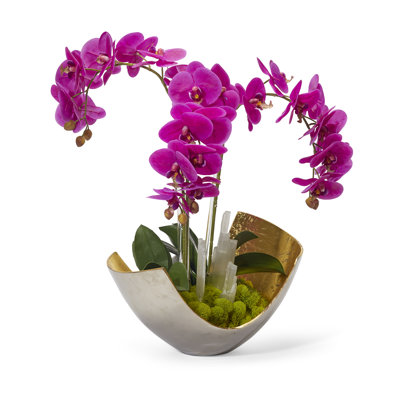Orchids Floral Arrangement in Vase