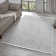 Textured Fringed Area Rug