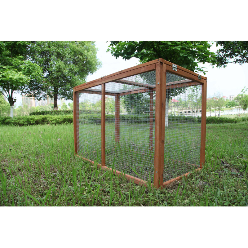 Artin 6.26 Square Feet Chicken Run