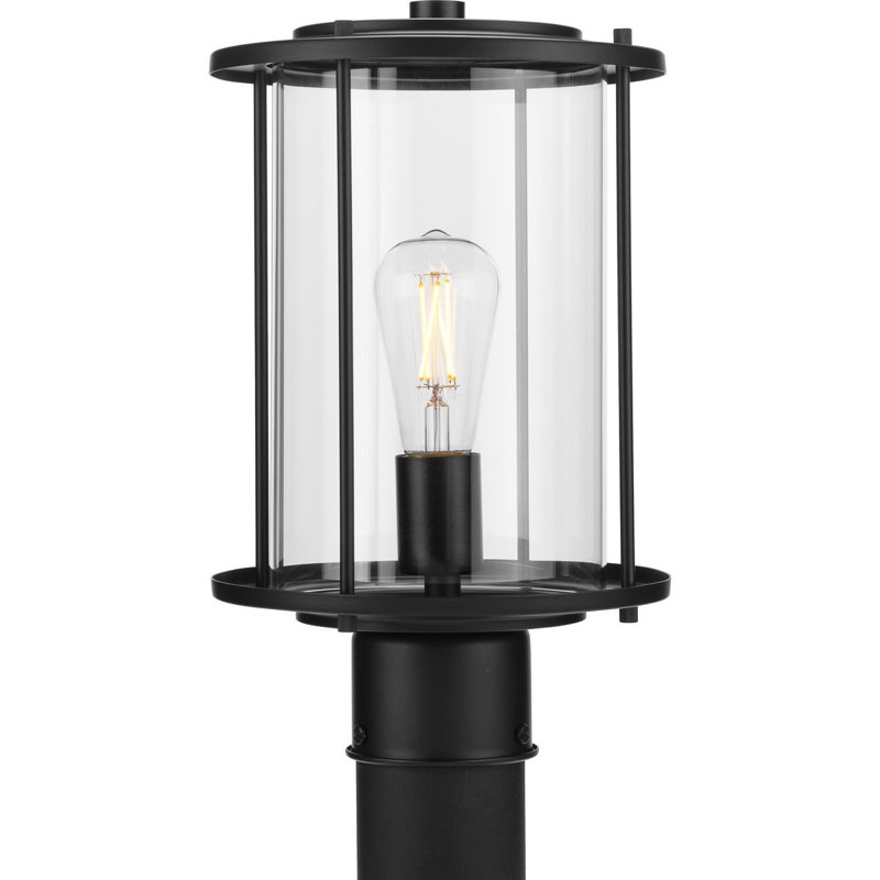 Gunther Transparent Lantern Head