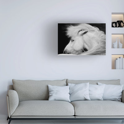 Œuvre sur toile, Bachelor John Fan