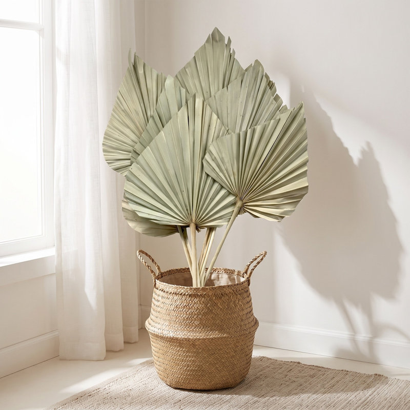 Erkson Preserved Palm Spear Stems