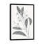 « neutral botanique v », reproduction sur toile tendue-72451735-72451736-72451742