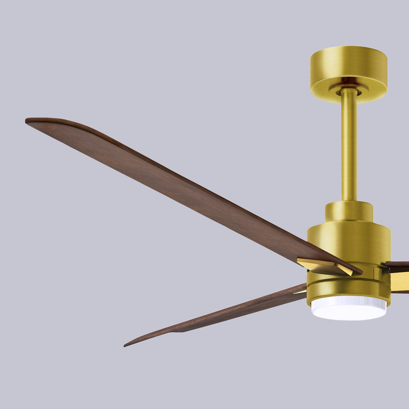 Alessandra - Three Blade Transitional Ceiling Fan -LED, Walnut, Brushed Brass, 56"