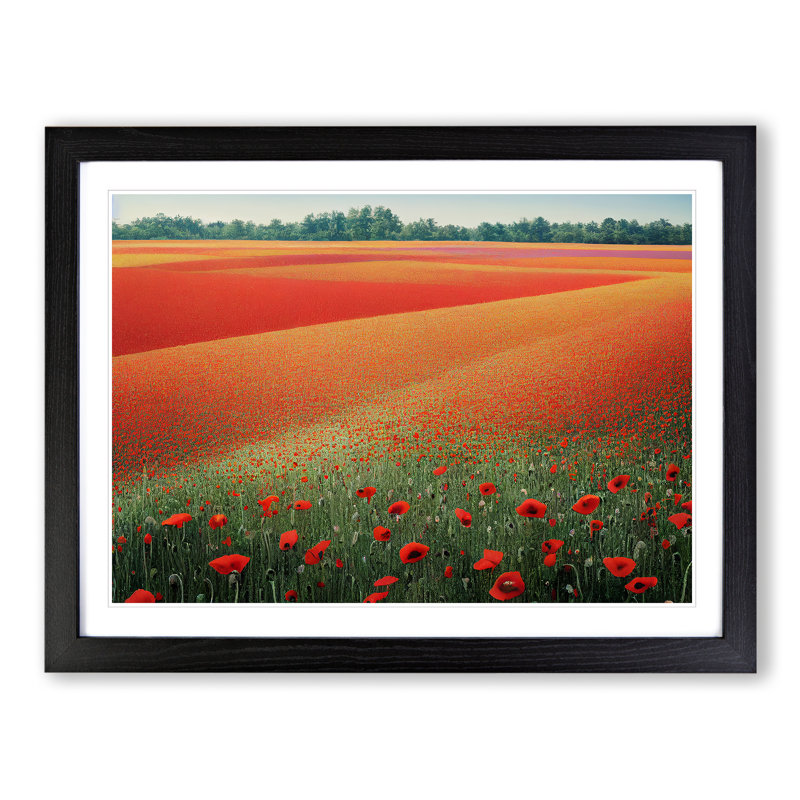 Exquisite Poppy Field Flowers - Single Picture Frame Print, Black Framed, 25cm H x 34cm W x 2cm D