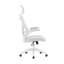 Aalaysia Mesh Office Chair with Headrest-363516336