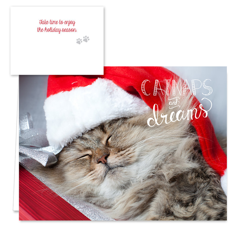 Cats Holiday Card