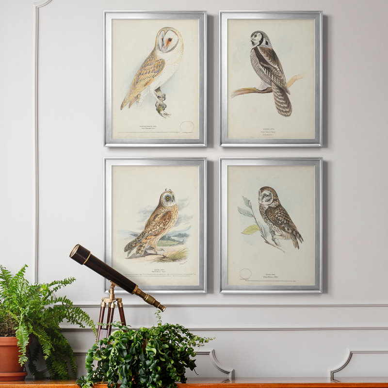 Toile encadrée de qualité supérieure Barn Owl - prête à être accrochée, Cadre argenté, H 24,5 po x l 74 po x P 1 po