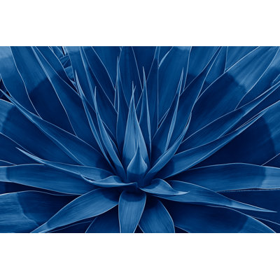 Bloomed Lotus Flower 1 Piece Wrapped Canvas Wall Art
