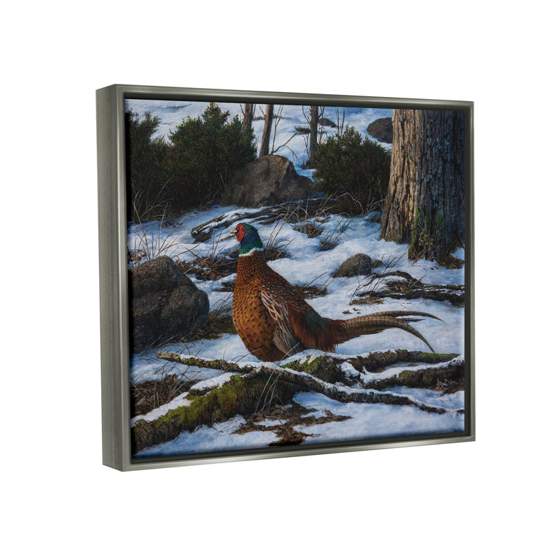 " Pheasant In Snowy Woods ", Lustre Grey Floater Frame, 17" H x 21" W x 1.7" D