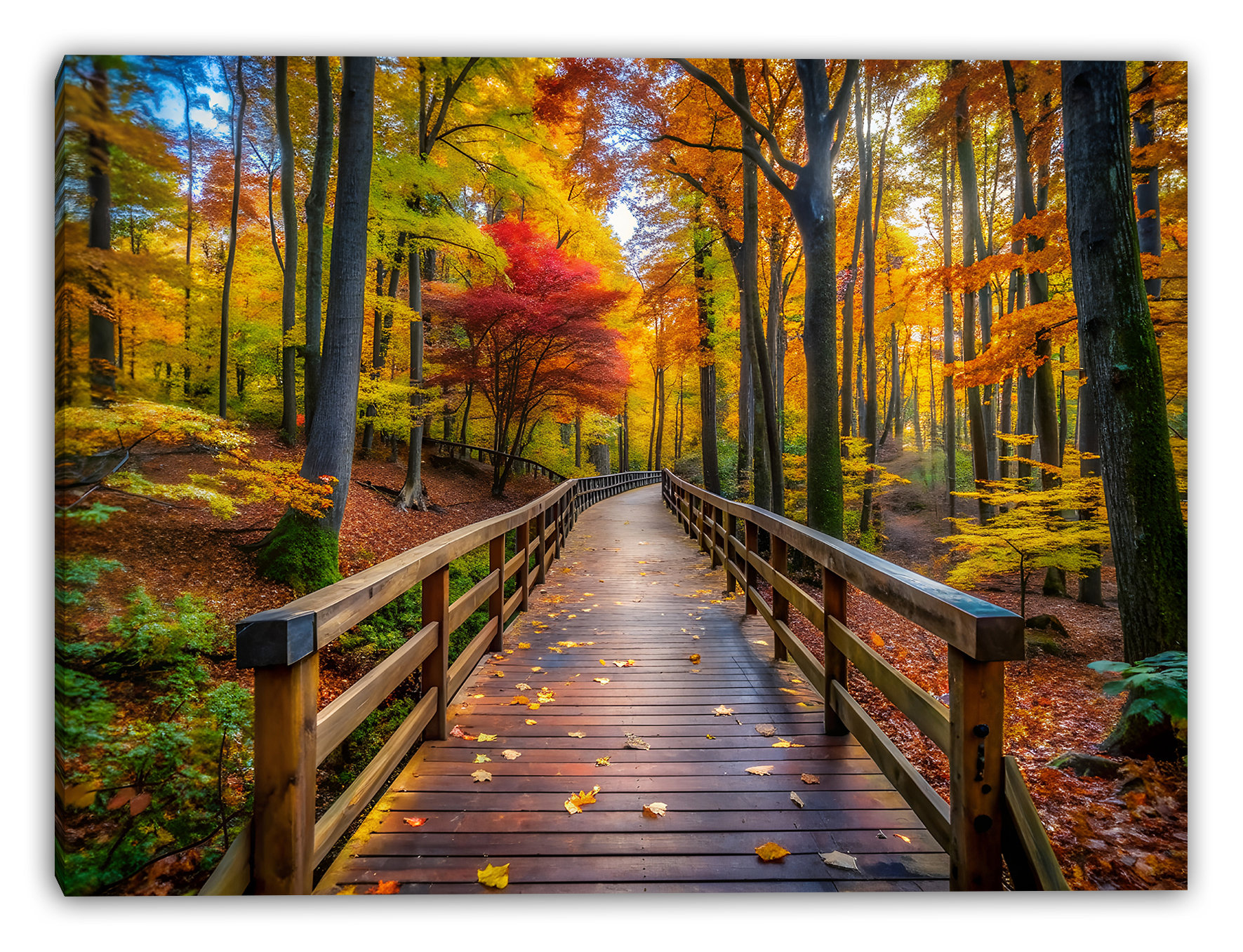Union Rustic Maple Grove Boardwalk Wrapped Canvas Wall Art | Wayfair