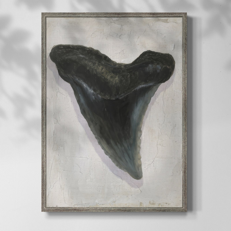 «Watercolor Sharks Tooth I», reproduction encadrée - bois massif, H 15 po x l 12 po