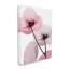 "Stupell Industries Pink Poppy Flowers", art mural sur toile par Albert Koetsier-91309116-91309119