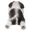 Statue de couchage chiot shih tzu