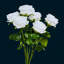 Arrangement de roses-1861914800