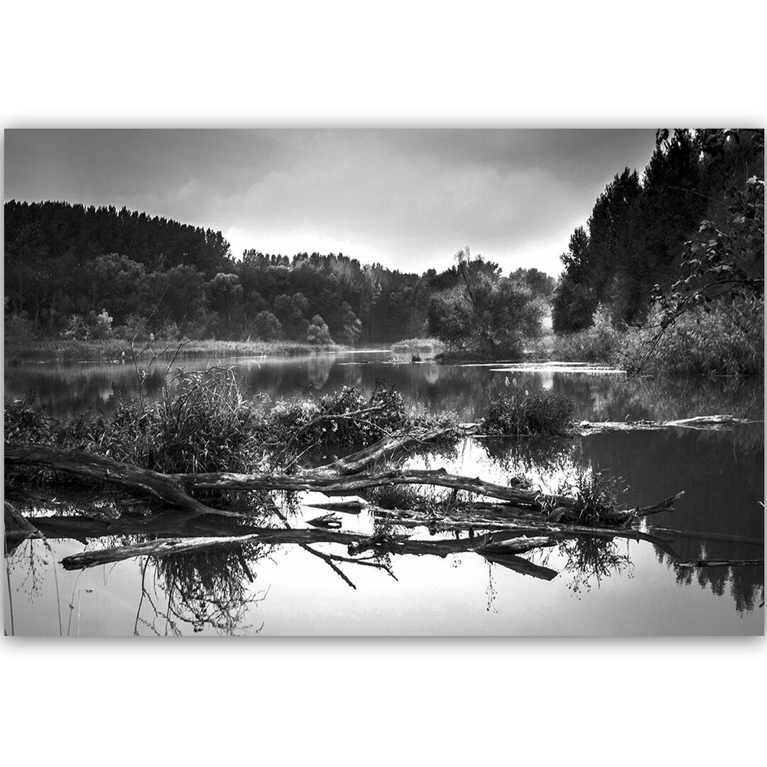 Leinwandbild Fallen Tree in the Lake 2