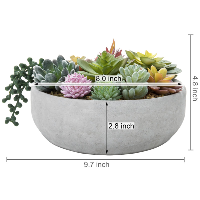 Plante grasse artificielle en pot 4,8 po