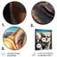 Décoration murale Pembroke Welsh Corgi-87837080