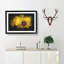 Yellow Coneflowers - Picture Frame Painting Print-56842444-56842445