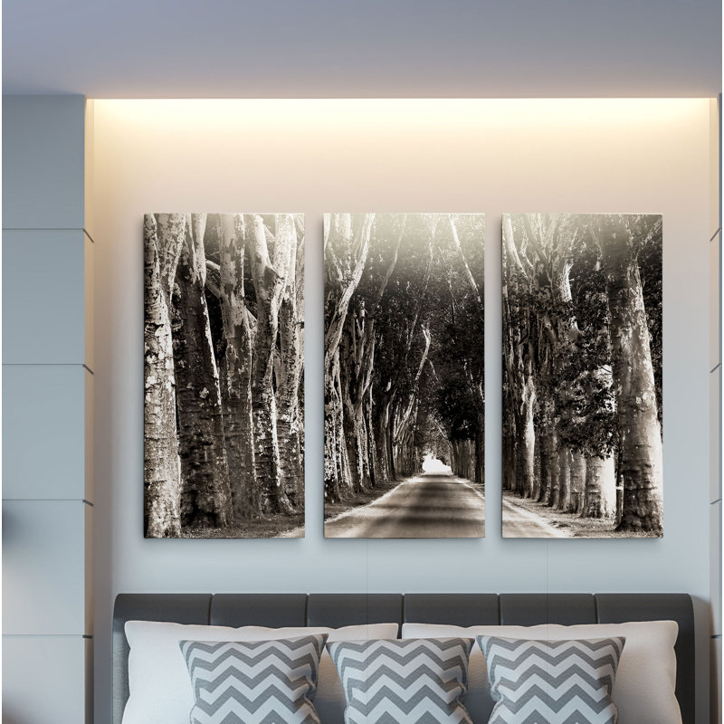 "Majestueuse Road", ensemble de 3 reproductions de photos sur toiles, H 40 po x l 80 po x P 1,5 po