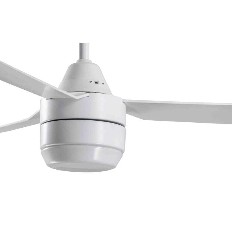 Albern 122cm Ceiling Fan with Light Kit