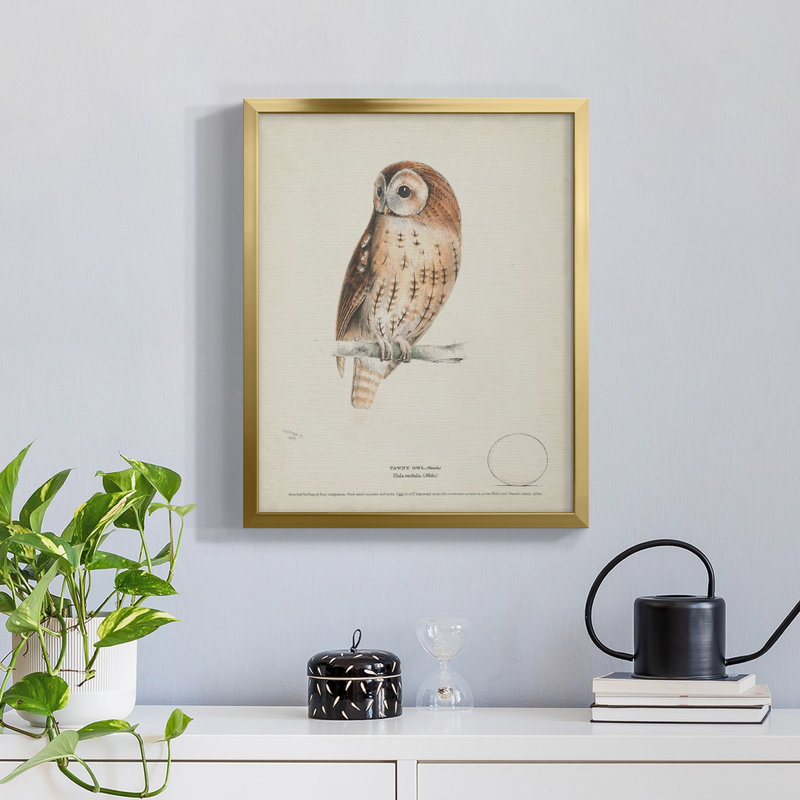 Tawny Owl - Toile avec cadre de qualité supérieure - Prêt à être accroché
