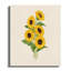Guarino Wrapped Canvas Print Set-1249135960