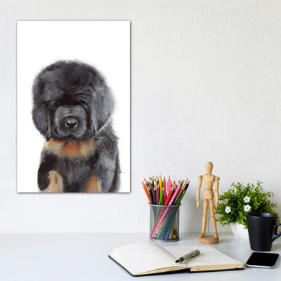 «Tibetan Mastiff Puppy» par Watercolor Luv - reproduction d'art