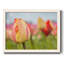 Spring Sherbet - reproduction de photo sur toile-96289868-96289872