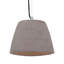 Phaedra 1 - Light Silver Dome Pendant