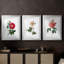 Botanical Beauty I - Impression personnalisée de qualité supérieure avec cadre mat - 3 pièces-1423773585-1423773594