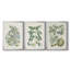 Buchoz Tropicals VI - Toile tendue avec châssis sur mesure - 3 pièces-791249014-791249015