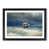 Black Framed