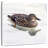 Brampt Female Mallard Duck-109368389
