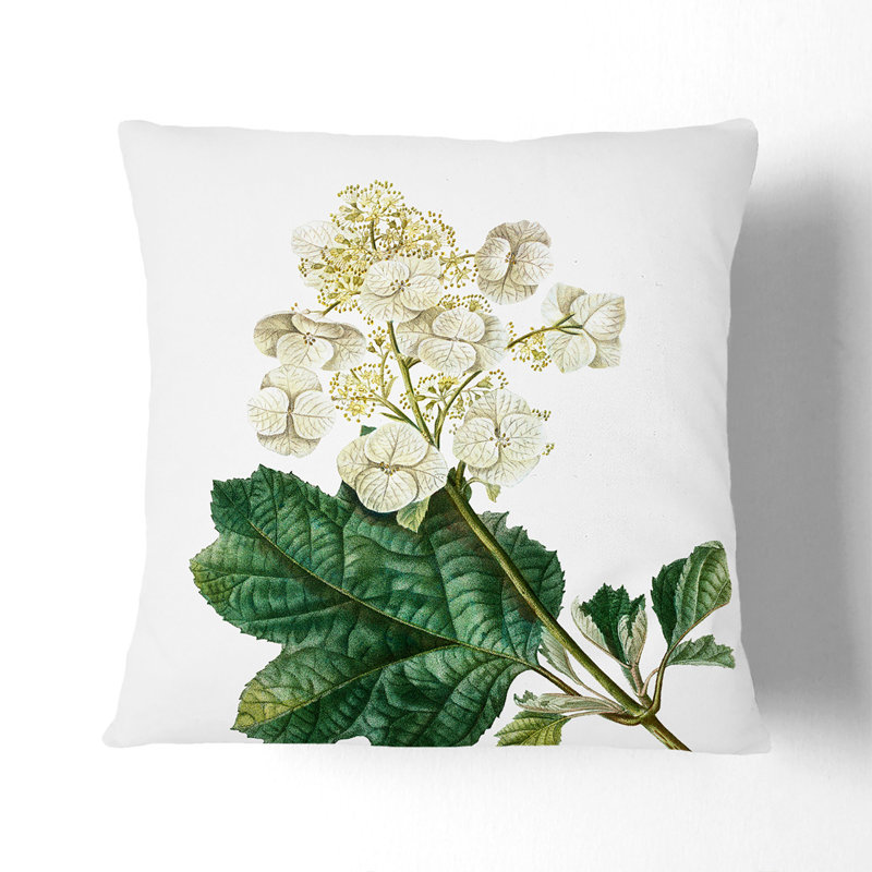 Oakleaf Hydrangea by Pierre-Joseph Redoute Cushion with Filling, 55cm H x 55cm W x 20cm D, Black